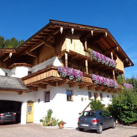 Landhaus Mayer 阿尔卑巴赫 外观 照片